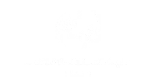 Meridiantherapie Luana